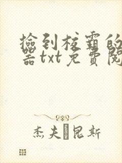 捡到校霸的遥控器txt免费阅读