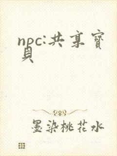 npc:共享宝贝