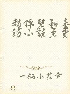 赵锦儿和秦慕修的小说免费阅读全文