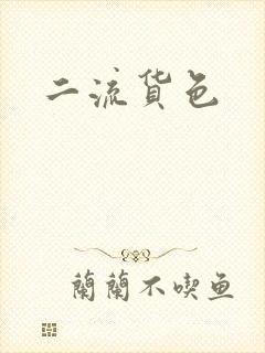 二流货色