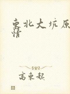 东北大坑原始激情