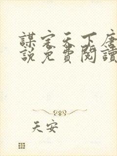 谋定天下唐诚小说免费阅读