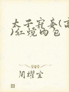 太子宠妾(高肉)红烧肉包