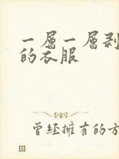 一层一层剥开你的衣服