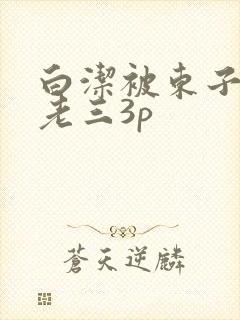 白洁被东子老二老三3p