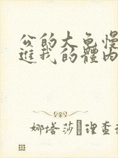 公的大龟慢慢挺进我的体内