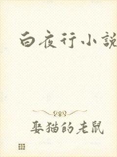 白夜行小说下载