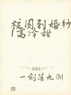 校园到婚纱1V1高冷甜