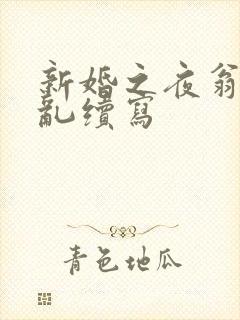 新婚之夜翁莹情乱续写
