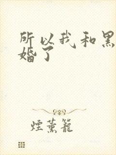 所以我和黑粉结婚了