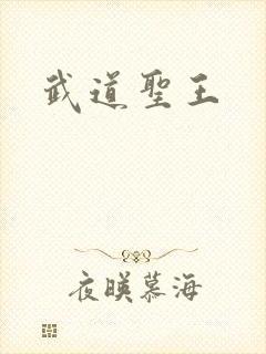 武道圣王