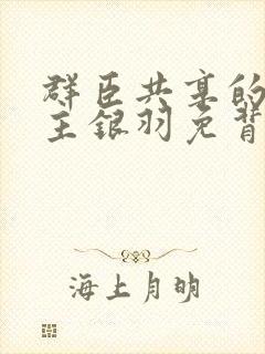 群臣共享的小公主银羽免背刺