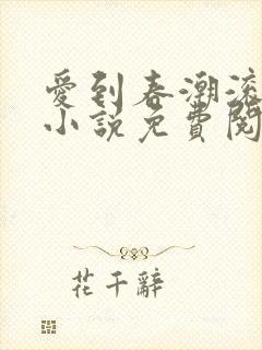 爱到春潮滚滚来小说免费阅读