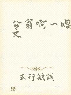 公翁啊～嗯啊h文