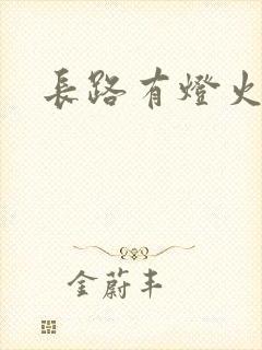 长路有灯火