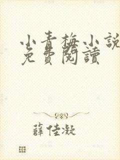 小青梅小说全文免费阅读