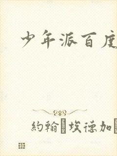 少年派百度百科