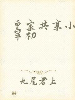 皇家共享小公主宁初