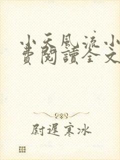 小天风流小说免费阅读全文最新章节