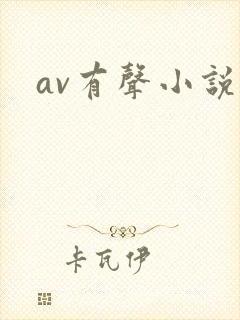 av有声小说