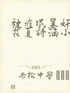 被催眠暴奸的校花夏诗涵小说