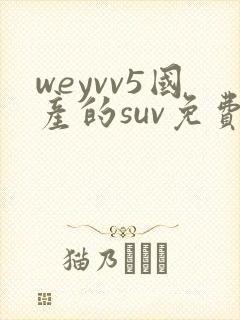 weyvv5国产的suv免费