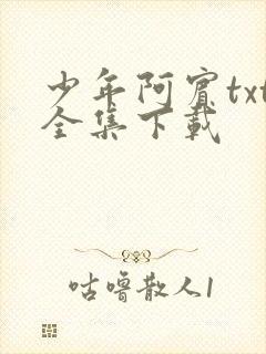 少年阿宾txt全集下载