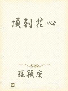 《顶到花心》小说封面