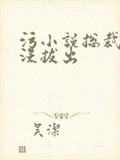 污小说总裁整夜没拔出