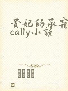 贵妃的承宠日常cally小说