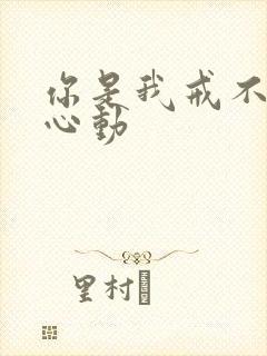 《你是我戒不掉的心动》小说封面