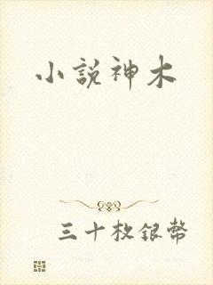 小说神木