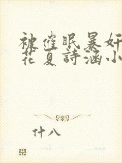 被催眠暴奸的校花夏诗涵小说封面