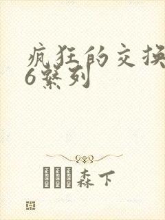 疯狂的交换1一6系列