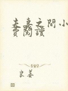 夫妻之间小说免费阅读