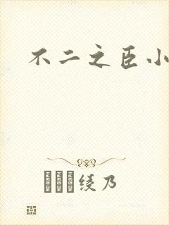 不二之臣小说
