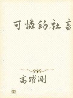 可怜的社畜小说