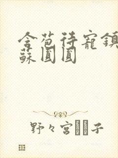 含苞待宠镇国公苏圆圆