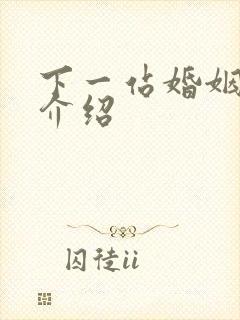 下一站婚姻剧情介绍