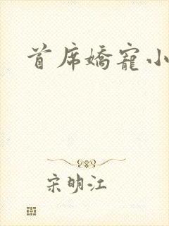 首席娇宠小情人