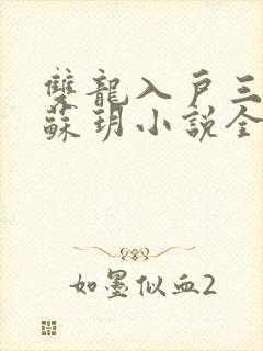 双龙入户三人行苏玥小说全文阅读