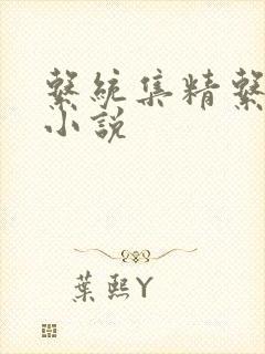 系统集精系统 小说