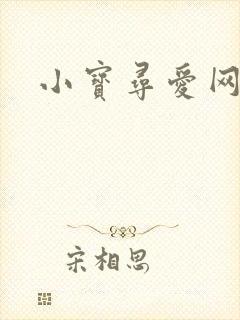 小宝寻爱网