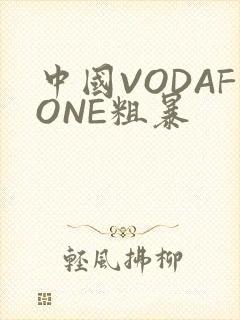 中国VODAFONE粗暴