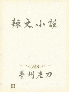 辣文小说