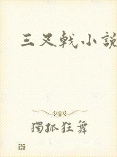 三叉戟小说封面