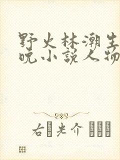 野火林潮生林晚晚小说人物野火