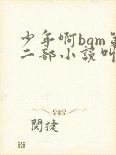 少年啊bgm第二部小说叫什么