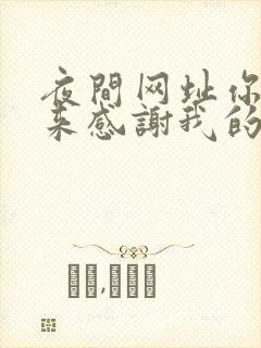 夜间网址你会回来感谢我的