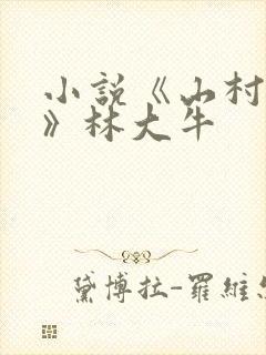 小说《山村情事》林大牛